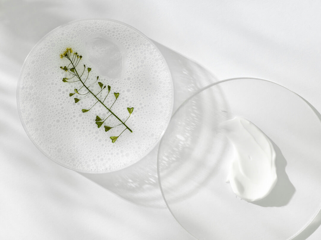 Tierische Inhaltsstoffe in Kosmetik