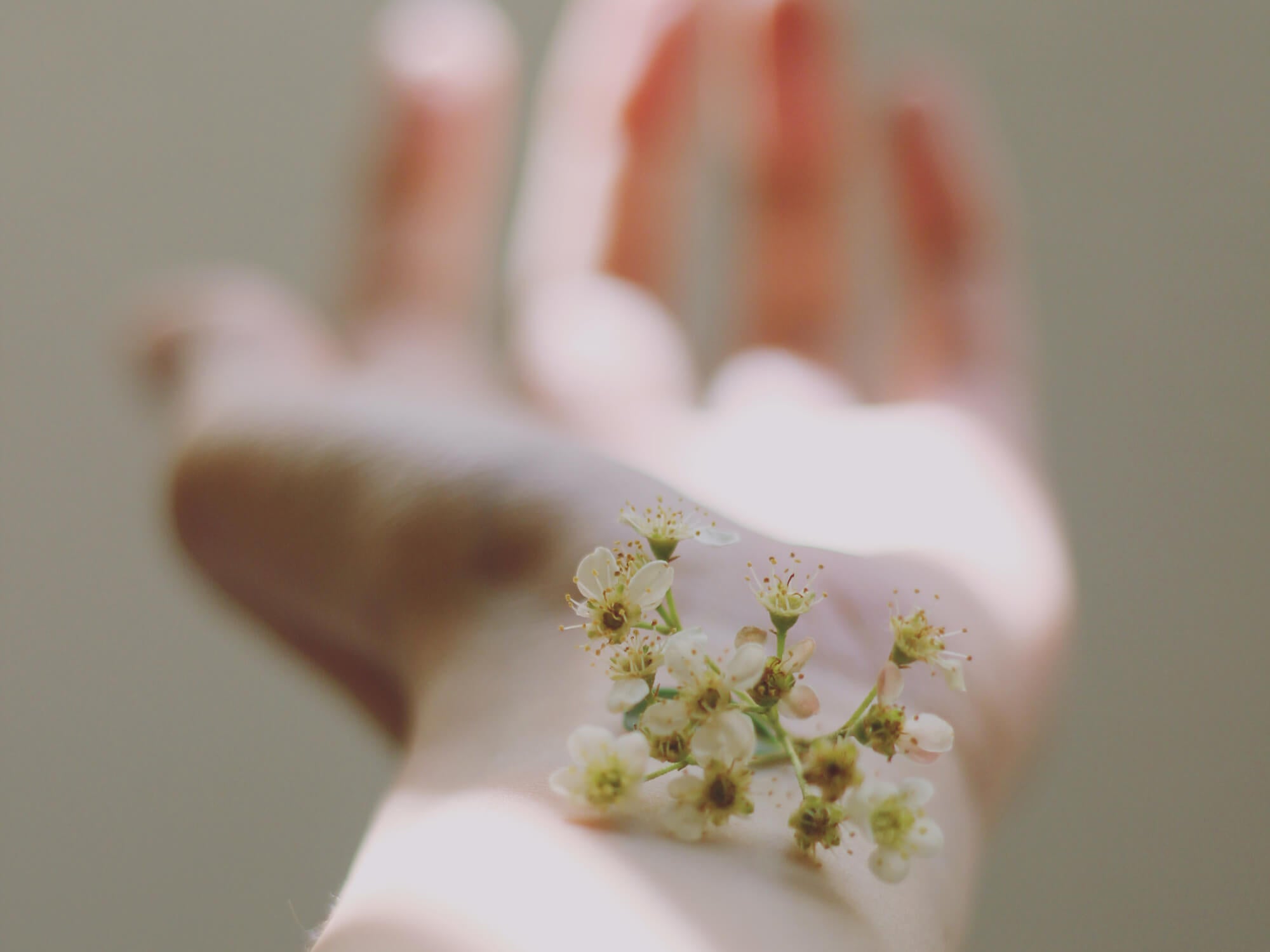 Vegane Naturkosmetik | Five Skincare