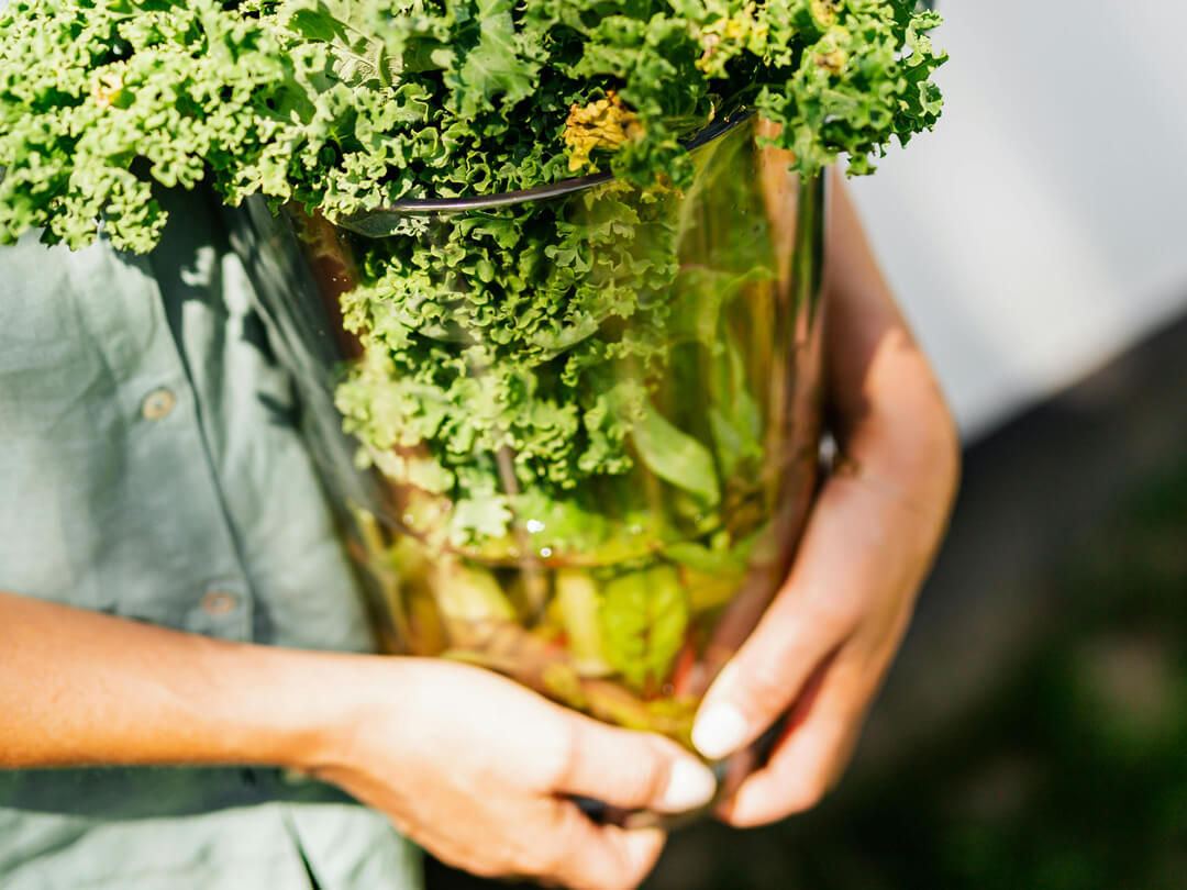 Entzündungshemmende Ernährung – warum wichtig für schöne Haut?